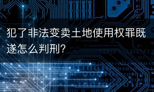 犯了非法变卖土地使用权罪既遂怎么判刑?
