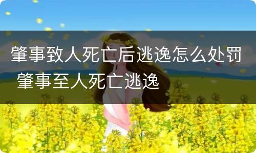 肇事致人死亡后逃逸怎么处罚 肇事至人死亡逃逸