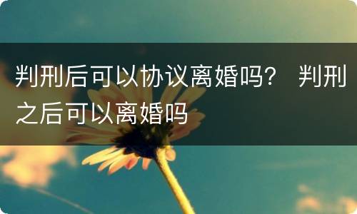 判刑后可以协议离婚吗？ 判刑之后可以离婚吗