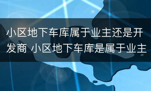 小区地下车库属于业主还是开发商 小区地下车库是属于业主还是属于开发商