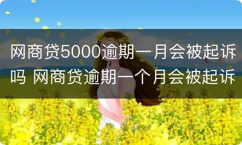网商贷5000逾期一月会被起诉吗 网商贷逾期一个月会被起诉吗