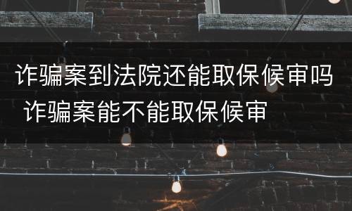 诈骗案到法院还能取保候审吗 诈骗案能不能取保候审