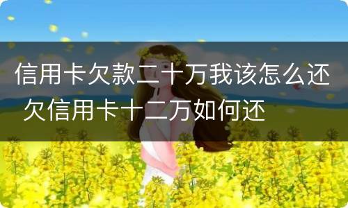 信用卡欠款二十万我该怎么还 欠信用卡十二万如何还