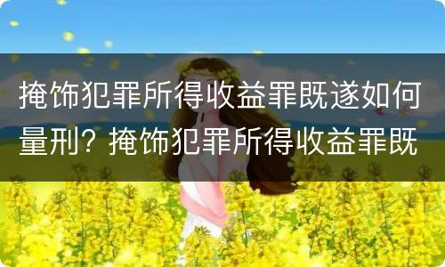 掩饰犯罪所得收益罪既遂如何量刑? 掩饰犯罪所得收益罪既遂如何量刑