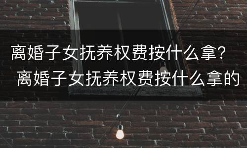 离婚子女抚养权费按什么拿？ 离婚子女抚养权费按什么拿的