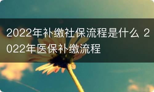 2022年补缴社保流程是什么 2022年医保补缴流程