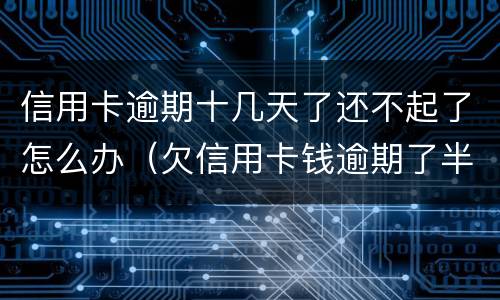 信用卡逾期十几天了还不起了怎么办（欠信用卡钱逾期了半年怎么办）