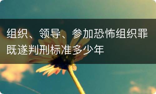 组织、领导、参加恐怖组织罪既遂判刑标准多少年
