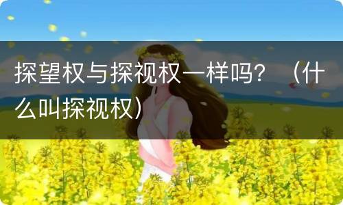 探望权与探视权一样吗？（什么叫探视权）