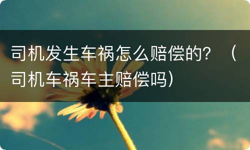 司机发生车祸怎么赔偿的？（司机车祸车主赔偿吗）