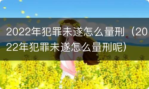 2022年犯罪未遂怎么量刑（2022年犯罪未遂怎么量刑呢）
