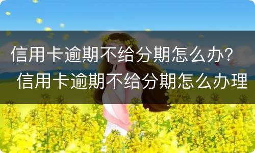 信用卡逾期不给分期怎么办？ 信用卡逾期不给分期怎么办理