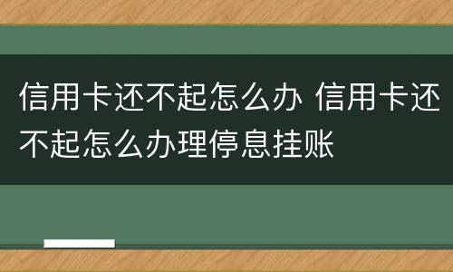 信用卡还不起怎么办 信用卡还不起怎么办理停息挂账