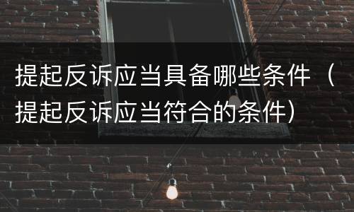 提起反诉应当具备哪些条件（提起反诉应当符合的条件）