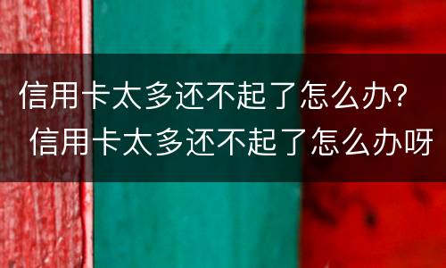 信用卡太多还不起了怎么办？ 信用卡太多还不起了怎么办呀