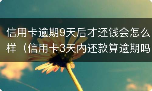 信用卡逾期9天后才还钱会怎么样（信用卡3天内还款算逾期吗）