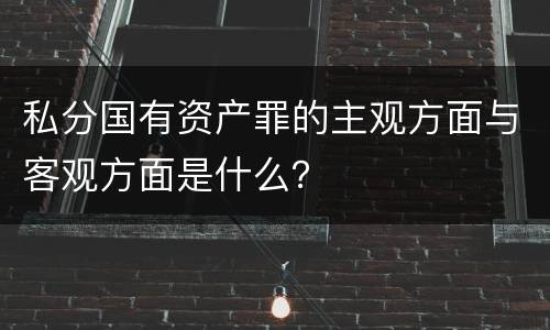 私分国有资产罪的主观方面与客观方面是什么？