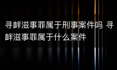 寻衅滋事罪属于刑事案件吗 寻衅滋事罪属于什么案件