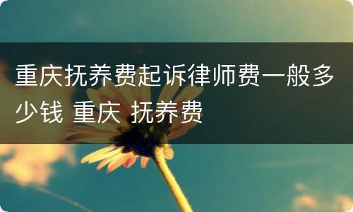 重庆抚养费起诉律师费一般多少钱 重庆 抚养费