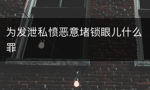 为发泄私愤恶意堵锁眼儿什么罪