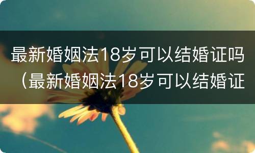 最新婚姻法18岁可以结婚证吗（最新婚姻法18岁可以结婚证吗女）