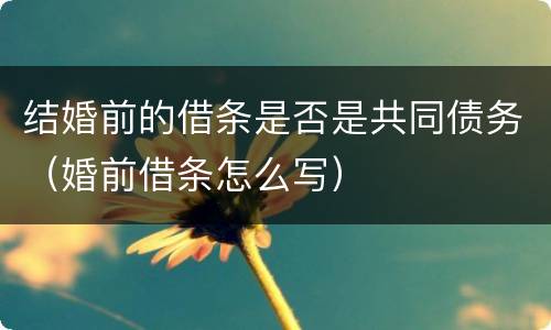 结婚前的借条是否是共同债务（婚前借条怎么写）