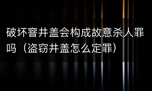 破坏窨井盖会构成故意杀人罪吗（盗窃井盖怎么定罪）