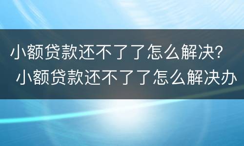 小额贷款还不了了怎么解决？ 小额贷款还不了了怎么解决办法