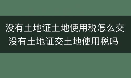 没有土地证土地使用税怎么交 没有土地证交土地使用税吗