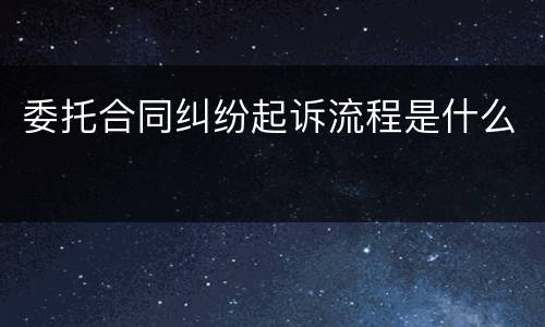 委托合同纠纷起诉流程是什么