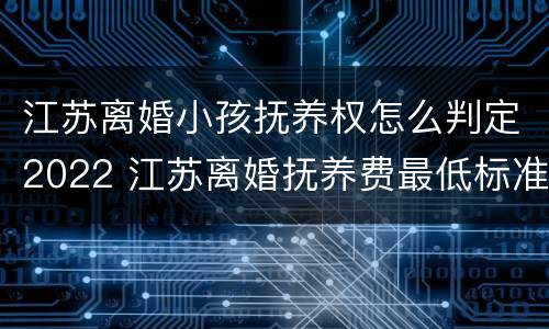 江苏离婚小孩抚养权怎么判定2022 江苏离婚抚养费最低标准