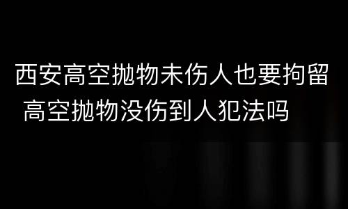 西安高空抛物未伤人也要拘留 高空抛物没伤到人犯法吗