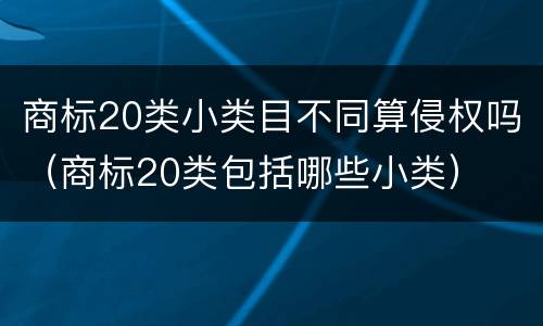 商标20类小类目不同算侵权吗（商标20类包括哪些小类）