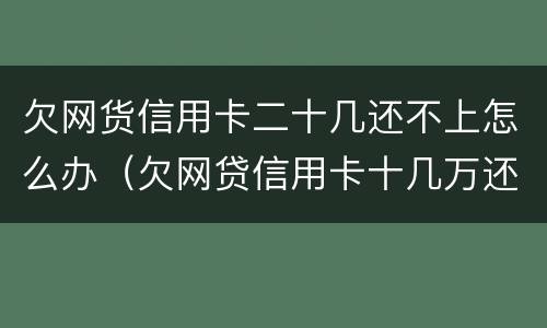 欠网货信用卡二十几还不上怎么办（欠网贷信用卡十几万还不上怎么办）