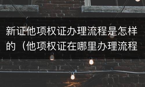 新证他项权证办理流程是怎样的（他项权证在哪里办理流程）