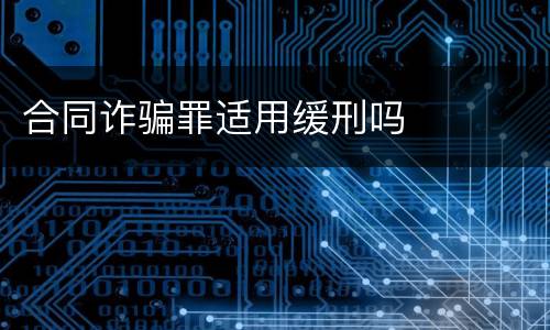 合同诈骗罪适用缓刑吗