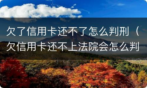 欠了信用卡还不了怎么判刑（欠信用卡还不上法院会怎么判）