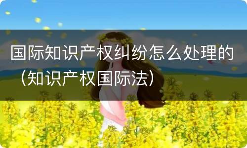 国际知识产权纠纷怎么处理的（知识产权国际法）
