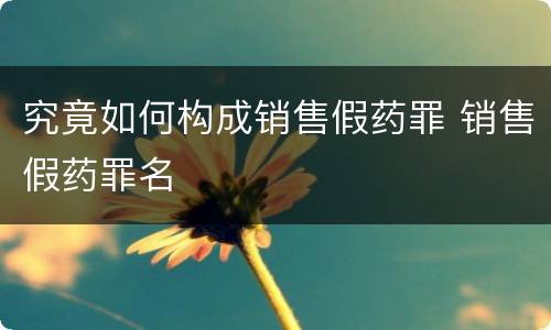 究竟如何构成销售假药罪 销售假药罪名