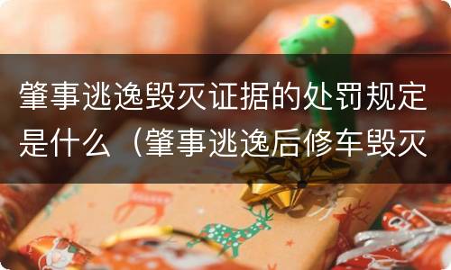肇事逃逸毁灭证据的处罚规定是什么（肇事逃逸后修车毁灭证据）