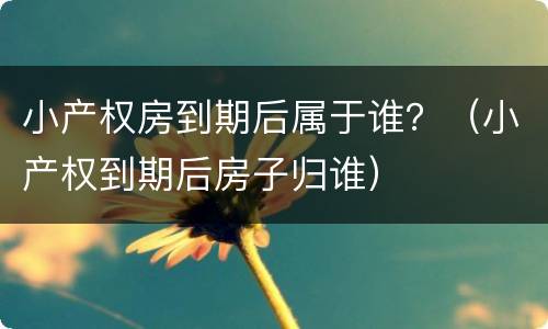 小产权房到期后属于谁？（小产权到期后房子归谁）
