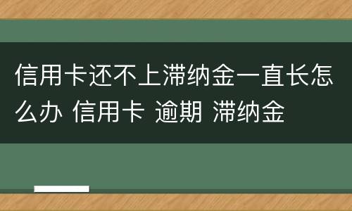 信用卡还不上滞纳金一直长怎么办 信用卡 逾期 滞纳金