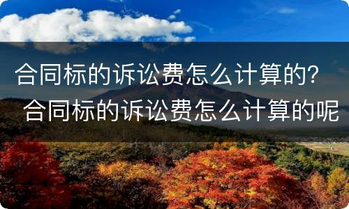 合同标的诉讼费怎么计算的？ 合同标的诉讼费怎么计算的呢