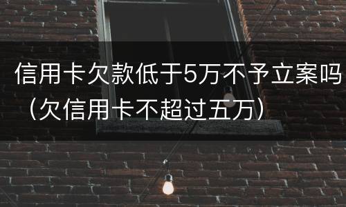 信用卡欠款低于5万不予立案吗（欠信用卡不超过五万）