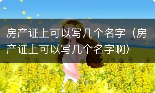 房产证上可以写几个名字（房产证上可以写几个名字啊）