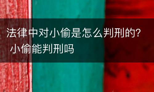 法律中对小偷是怎么判刑的？ 小偷能判刑吗