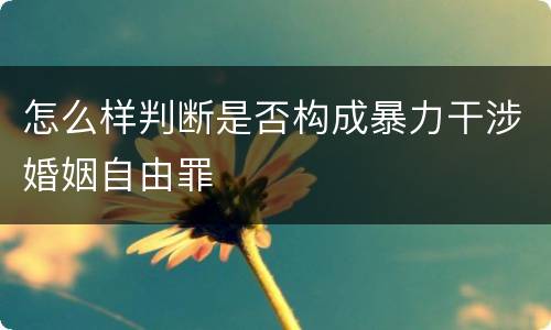 怎么样判断是否构成暴力干涉婚姻自由罪