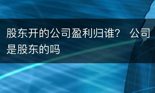 股东开的公司盈利归谁？ 公司是股东的吗