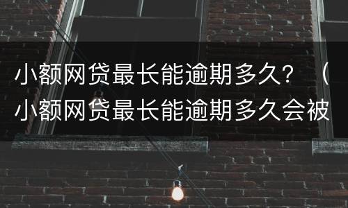 小额网贷最长能逾期多久？（小额网贷最长能逾期多久会被起诉）