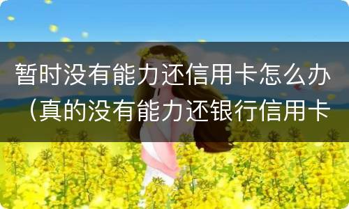 暂时没有能力还信用卡怎么办（真的没有能力还银行信用卡会怎么办）